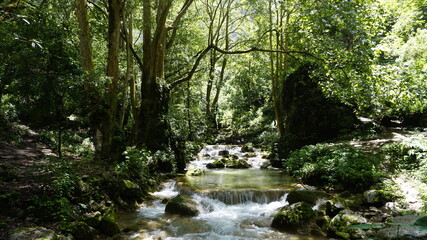 Obraz premium Cascada Chuveje