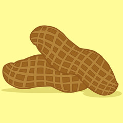 Vector illustration of the two roasted peanut