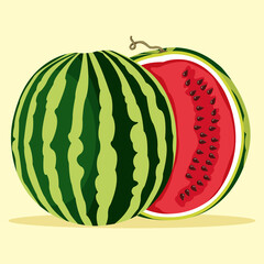 Vector illustration of the fresh watermelon cut in half