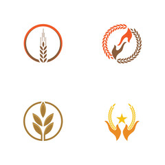 Luxury Golden Grain Weath / Rice Logo Design Vector
