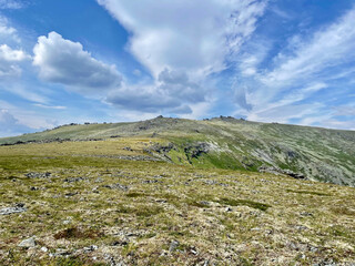 Fototapeta na wymiar Mount Otorten (1234 meters) in summer. Russia, Northern Urals
