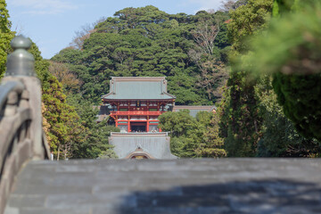 main shrine of tsurugaokahachimangu seen beyond the traditional bride in kamakura, japan