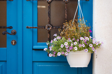 Blue door with hanging flowerpot with little pink flowers