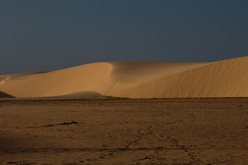 Fototapeta na wymiar sand dunes in a delta