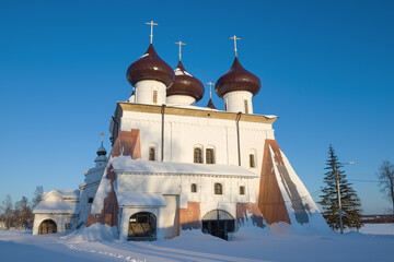 Fototapeta na wymiar Ancient Cathedral of the Nativity of Christ (1562) on a frosty February morning. Kargopol, Russia