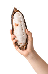 Woman holding fresh cocoa fruit on white background