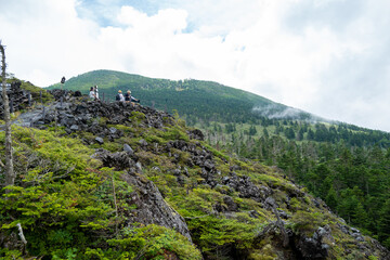 長野県の北横岳の登山道の風景 A view of the trail at Kita-Yokodake in Nagano Prefecture.