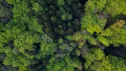 tolle Landschaft in Nussbaumen bei Baden im Aarga in der Schweiz. Tolle Felder und ein...