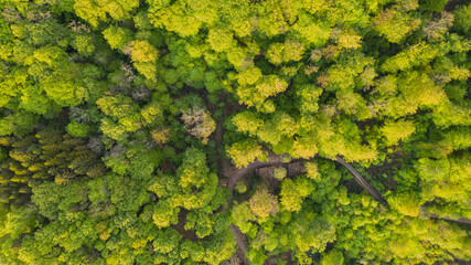 tolle Landschaft in Nussbaumen bei Baden im Aarga in der Schweiz. Tolle Felder und ein atemberaubender Wald mit richtig saftig grünen Blätter.