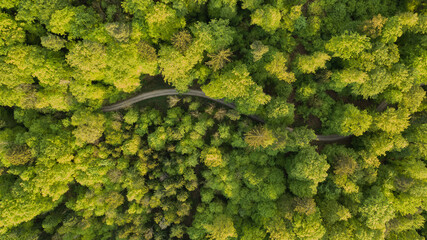 tolle Landschaft in Nussbaumen bei Baden im Aarga in der Schweiz. Tolle Felder und ein atemberaubender Wald mit richtig saftig grünen Blätter.