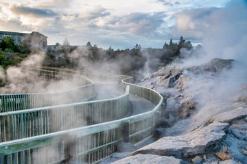 Erupting geysers of Te Puia in Rotorua, New Zealand.