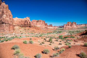 Amazing canyon of red rocks and small bushes.
