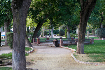 Parque con árboles de una ciudad.
