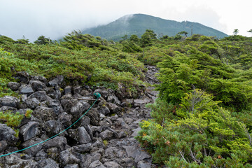 長野県の北横岳の登山道の風景 A view of the trail at Kita-Yokodake in Nagano...