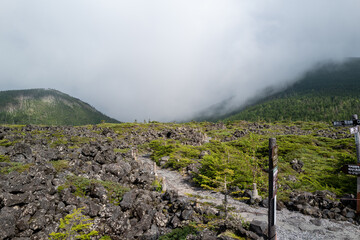 長野県の北横岳の登山道の風景 A view of the trail at Kita-Yokodake in Nagano Prefecture.