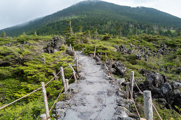 長野県の北横岳の登山道の風景 A view of the trail at Kita-Yokodake in Nagano Prefecture.