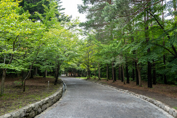 北海道札幌市の風景 Scenery of Sapporo City, Hokkaido