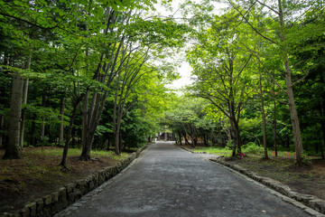 北海道札幌市の風景 Scenery of Sapporo City, Hokkaido