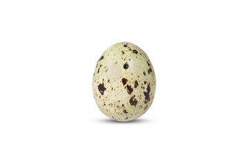 Obraz premium Quail egg on isolated white background