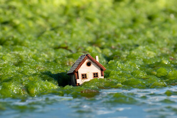 Family home drowned and damage flood, tsunami, natural disasters. House floating and sinking in sea...