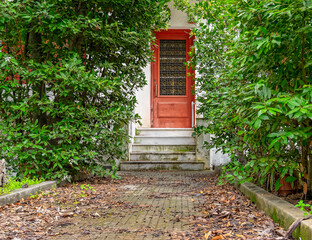Fototapeta na wymiar traditional family house external entrance door through dense green foliage, Athens Greece