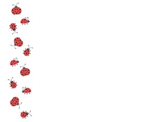 summer background with funny border. Flying and creeping flat red Ladybugs on white background.