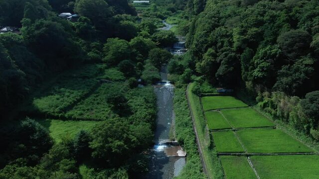 夏の田舎（四十八瀬川）の空撮