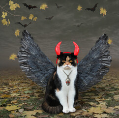 Fototapeta na wymiar A colored cat with bird wings and red devil horns is in the fall forest for Halloween.