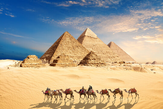 A camel caravan with bedouins by the Pyramids of Egypt in the desert of Giza