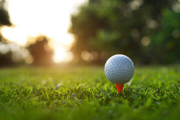 golf ball on tee in a beautiful golf course with morning sunshine