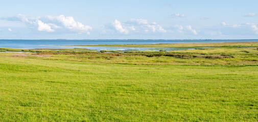 Panorama of Waddensea coast with marshes on Frisian island Schiermonnikoog, Netherlands