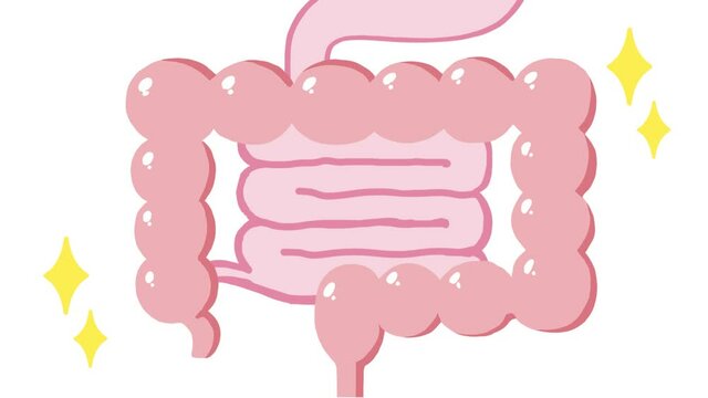 健康な大腸の動画素材