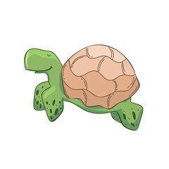 cute sea turtle Hand drawing animal. vector design isolated on white background. doodle , line, sea animal