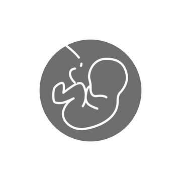 Baby In The Womb, Embryo, Human Fetus Grey Icon.