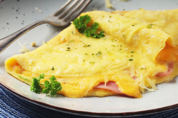 Omelette with ham and cheese on the plate