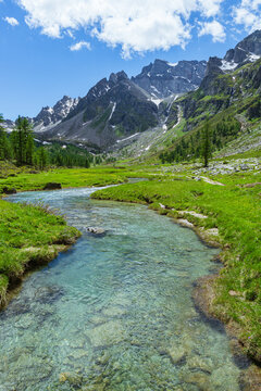 The woods, nature and the peace of the mountains of the Alpe Veglia - Devero natural park: a place suitable for the whole family near the town of Baceno, Italy - July 2021.