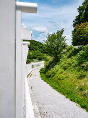夏の晴れた日の白い鳥居