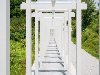 夏の晴れた日の白い鳥居