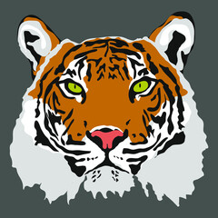 Tiger's face on a dark background. The symbol of the year 2022.