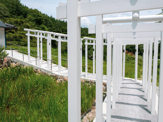 Fototapeta premium 夏の晴れた日の白い鳥居