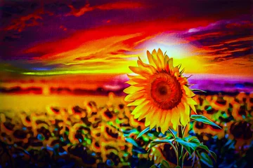 Gordijnen sunflower in the sunset © reznik_val