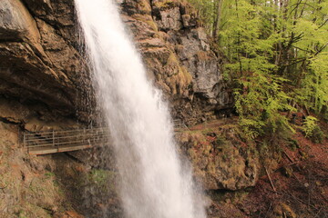 Fototapeta na wymiar waterfall in the forest in the alps