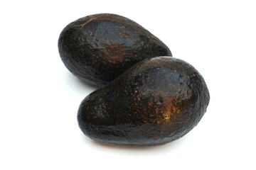 avocado on a white background