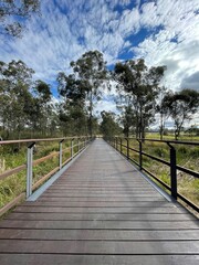 wooden bridge in the forest