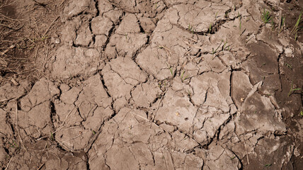 cracked ground