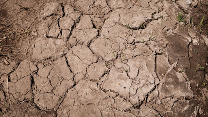 dry land