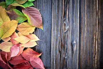 Wooden background with Autumn leaves. Border design. Top view. Concept floral background.