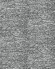 Abstract black and white background. Monochrome texture in grunge style. Old vintage pattern from cracking, fading print and design