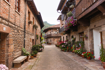 Pueblo rural con flores
