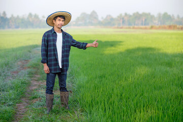 An Asian man in a blue striped shirt is standing in a field with thumbs up.